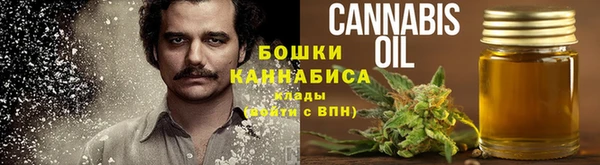 дживик Зеленокумск