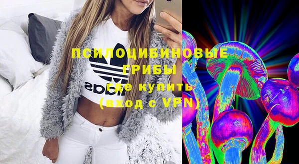 дживик Зеленокумск