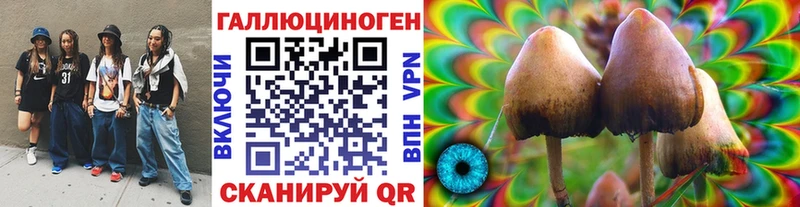 кракен вход Новая Усмань Галлюциногенные грибы ЛСД